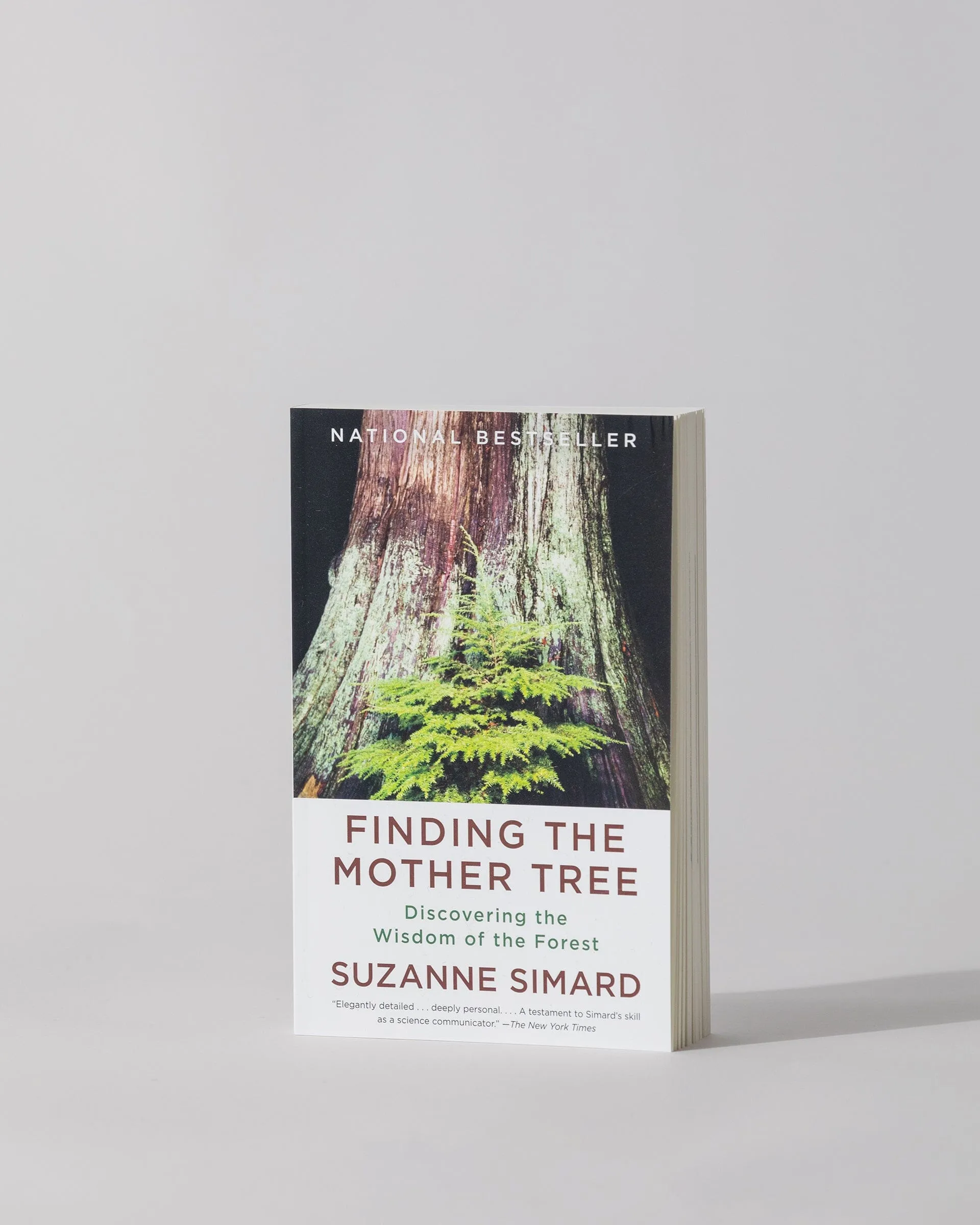 Finding The Mother Tree