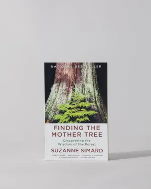 Finding The Mother Tree
